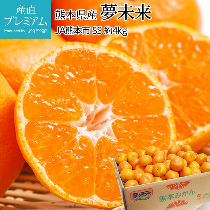 みかん＾＾ 高知県産(JA高知県) 山北みかん 計5kg以上・Sサイズ(秀)【お届け