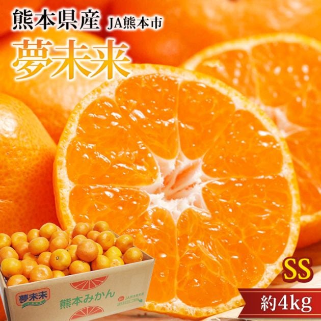 �ߤ��� ̴̤�� �����ߤ��� ��4kg ���� ��γ SS������ 48��64�� ���ܸ���<br>��̪�� �ߥ��� ���� ����12�ٰʾ� ������ �ե롼�� ��ʪ ���ե� £�� �ץ쥼��� ��ˤ� Ȣ�������ۡڻ�ľ�ץ�ߥ����