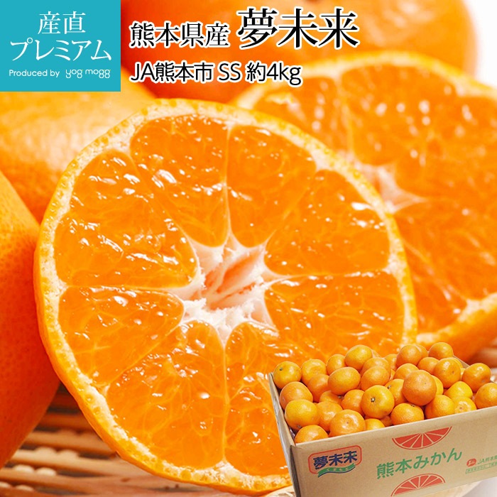 みかん 夢未来 早生みかん 約4kg 小玉 小粒 SSサイズ 48～64個