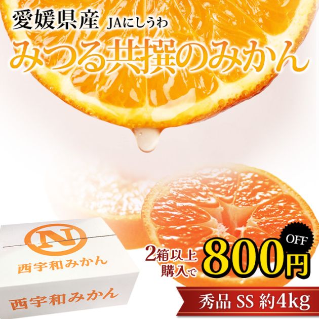 ��2Ȣ�ʾ������800��OFF�ۤߤ��� �ߤĤ붦��Τߤ��� ���� ��4kg ���� SS������ 55��65�� ��ɲ���� ����ľ����̪�� �ߥ��� �ߤĤ� ������ �ե롼�� ��ʪ ���ե� £�� �ץ쥼��ȡۡڻ�ľ�ץ�ߥ����
