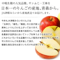 【りんご】パンフレット PLANET OF THE APPLES りんごの惑星 | Osaka Osaka