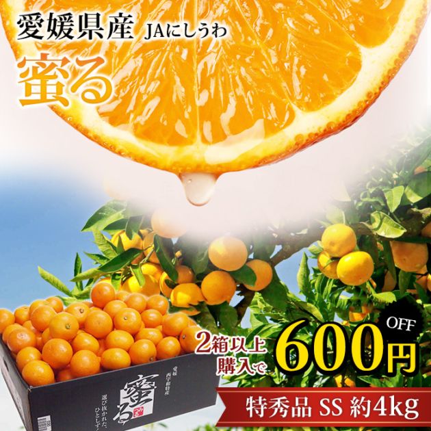 ��2Ȣ�ʾ������600��OFF�ۤߤ��� ̪��ߤ��� ̪�� �ý��� ��4kg SS������ ���� ��γ 55��65�� ��ɲ���� ����ľ��<br>��̪�� �ߥ��� �ߤĤ� ������ �ե롼�� ��ʪ ���ե� £�� �ץ쥼��� ��ˤ� Ȣ�������ۡڻ�ľ�ץ�ߥ����