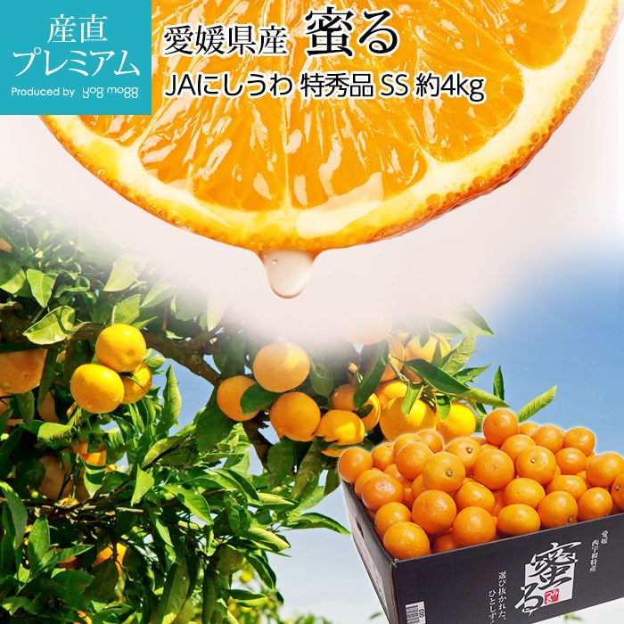 ߤ ̪ߤ ̪ ý 4kg SS  γ 5565 ɲ ľ<br>̪ ߥ ߤĤ  ե롼 ʪ ե £ ץ쥼 ˤ Ȣۡڻľץߥ