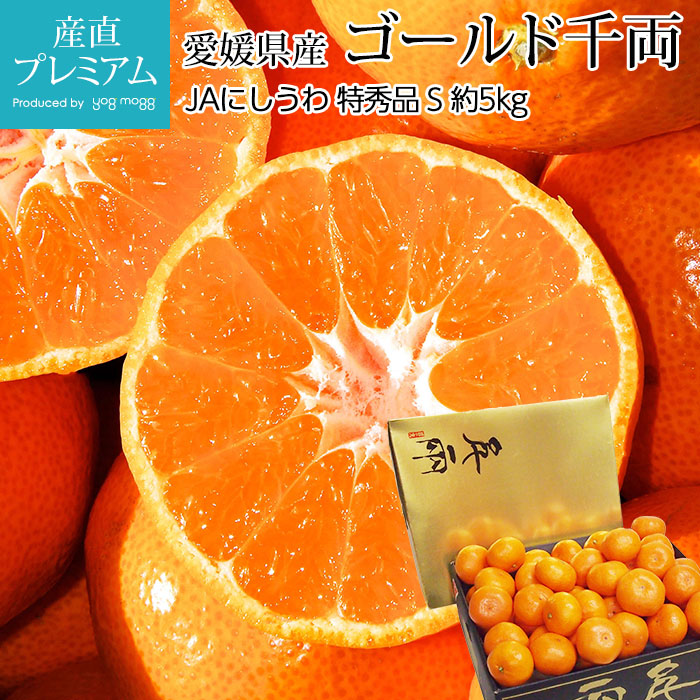 ߤ ξ δݤߤ ý 5kg S 60  γ ɲ ľ<br>ڤߤ ɲ ̪ ߥ   ե롼 ʪ ե £ ץ쥼 Ȣۡڻľץߥ