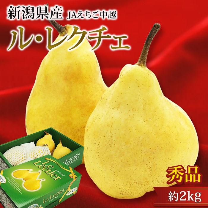 フルーツ,梨・洋梨,洋梨 | 高級フルーツ(高級果物)の通販なら旬のもの