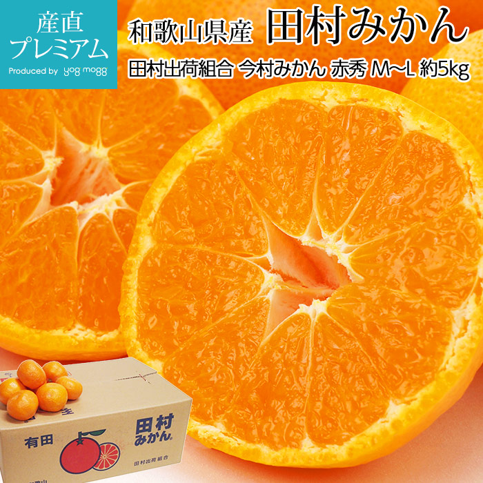 ߤ ¼ߤʺ¼ߤ ֽ 5kg ML 4050 ²λ ľ̪ ߥ ͭĤߤ  ե롼 ʪ ե £ ץ쥼 ˤ Ȣۡڻľץߥ