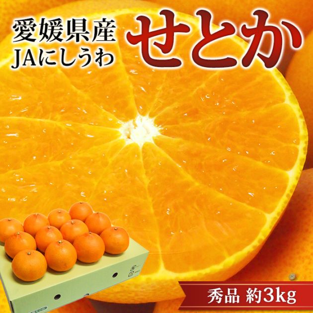 �ߤ��� ���Ȥ� ���� ��3kg 10��15�� ��ɲ���� ����ľ����̪�� �ߥ��� ������ ������ �ե롼�� ��ʪ ���ե� £�� �ץ쥼��� ��ˤ��ۡڻ�ľ�ץ�ߥ����