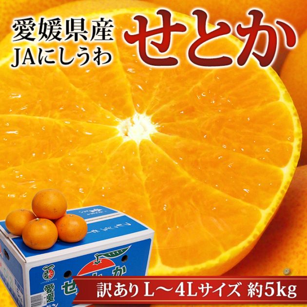 �ߤ��� ���Ȥ� ������ ��5kg L��4L������ 12��26�� ��ɲ���� ����ľ��<br>��̪�� �ߥ��� ������ ������ �ե롼�� ��ʪ ���ե� ������ �ץ쥼��� ��ˤ��ۡڻ�ľ�ץ�ߥ����