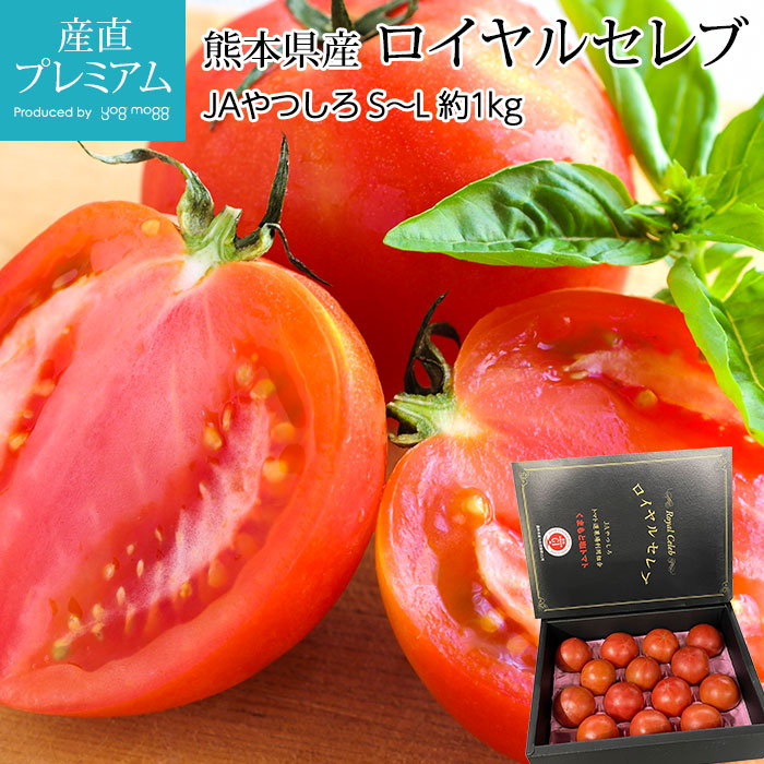 �ȥޥ� ������륻��� ���ȥޥ� ��1kg S��L������ 9��16�� ���ܸ����ڥե롼�ĥȥޥ� �Ȥޤ� ��� �ե롼�� ������ ���ե� £�� �ץ쥼��ȡۡڻ�ľ�ץ�ߥ����