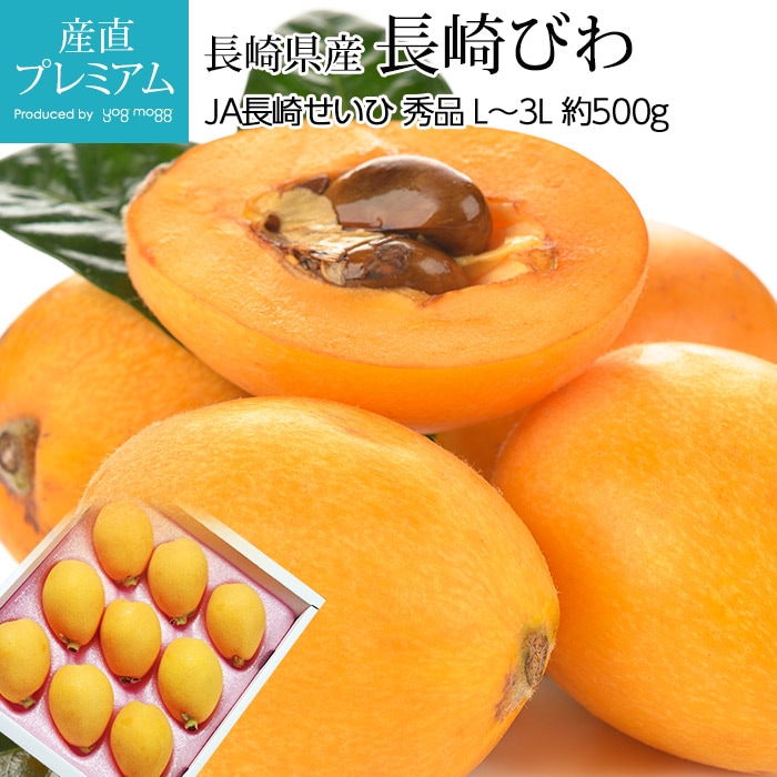 �Ӥ� Ĺ��Ӥ� ���� ��500g L��3L������ 8��12�� �ϥ������� ����Ȣ Ĺ�긩��<br>������ �ӥ� Ĺ������ Ĺ��ӥ� ������ �ե롼�� ��ʪ ���ե� £�� �ץ쥼��� ��ˤ��ۡڻ�ľ�ץ�ߥ����