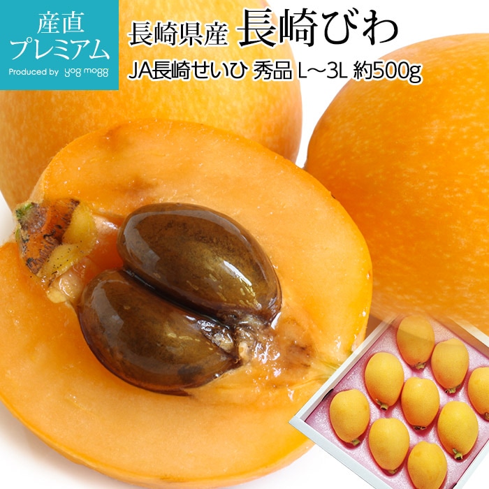 �Ӥ� Ĺ��Ӥ� ���� ��500g L��3L������ 8��12�� Ϫ�Ϻ��� ����Ȣ Ĺ�긩��<br>������ �ӥ� Ĺ������ Ĺ��ӥ� ������ �ե롼�� ��ʪ ���ե� £�� �ץ쥼��� ��ˤ� �������ġۡڻ�ľ�ץ�ߥ����