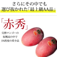 宮崎マンゴー 太陽のタマゴ 赤秀 4Lサイズ 2玉 宮崎県産 産地直送<br