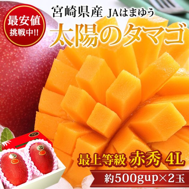 宮崎マンゴー 太陽のタマゴ 赤秀 4Lサイズ 2玉 宮崎県産 産地直送<br