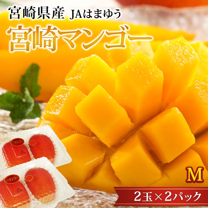 完熟宮崎マンゴー Mサイズ 2パック 宮崎県産 産地直送<br>【マンゴー