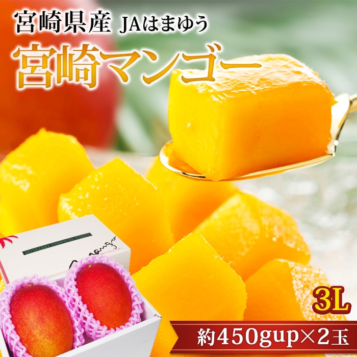 フルーツ,マンゴー,宮崎マンゴー,5,000円以上 | 高級フルーツ(高級果物