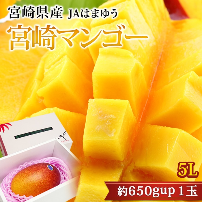 フルーツ,マンゴー,宮崎マンゴー | 高級フルーツ(高級果物)の通販なら