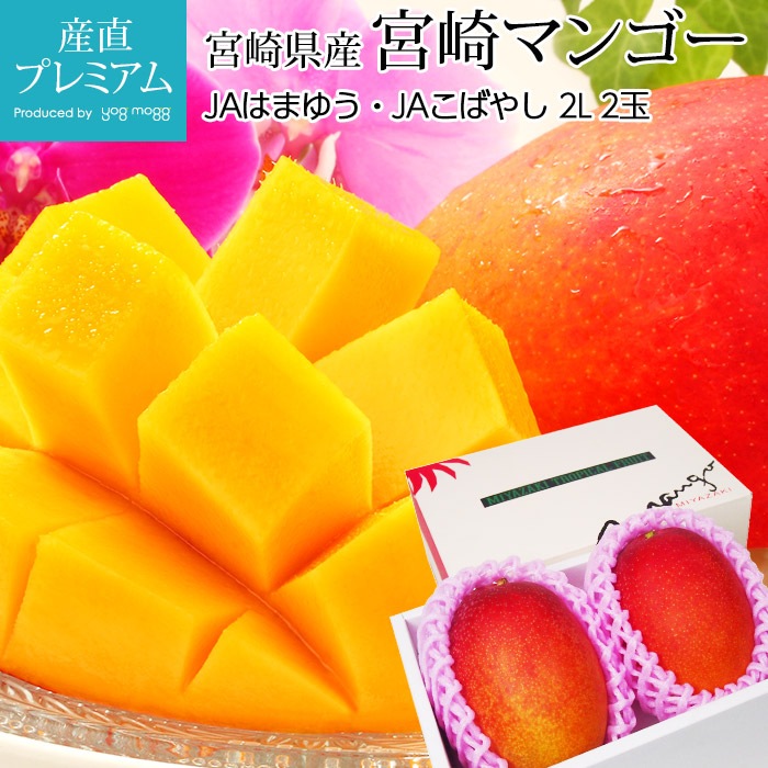 【宮崎県産】摘果マンゴー 6kg（送料込み）本日(4/2)収穫・明日発送！ 68051-64-