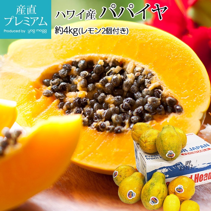 �ѥѥ��� ����2���դ� ��4kg �ϥ磻���ڤѤѤ��� ���� �ϥ磻 ���ݥ��϶� ��ʪ �ե롼�� ���ե� £�� �ץ쥼��ȡۡڻ�ľ�ץ�ߥ����