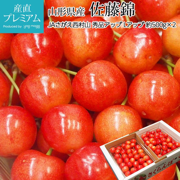 �������� ��ƣ�� ���ʥ��å� L���������å� ��1kg �������� ����ľ���ڥ������� ���Ȥ��ˤ��� ���ȥ��˥��� �����꡼ ������ �ե롼�� ��ʪ ���ե� £�� �ץ쥼��ȡۡڻ�ľ�ץ�ߥ����