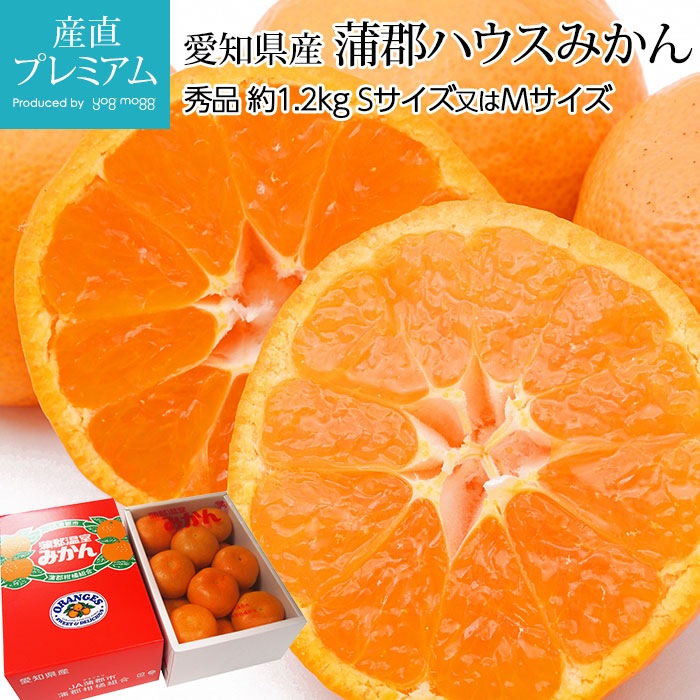 ߤ ϥߤ  1.2kg θڥߥ ̪ ߤ  ե롼 ʪ £ ץ쥼 ˤ Ȣ 12ٰʾۡڻľץߥ