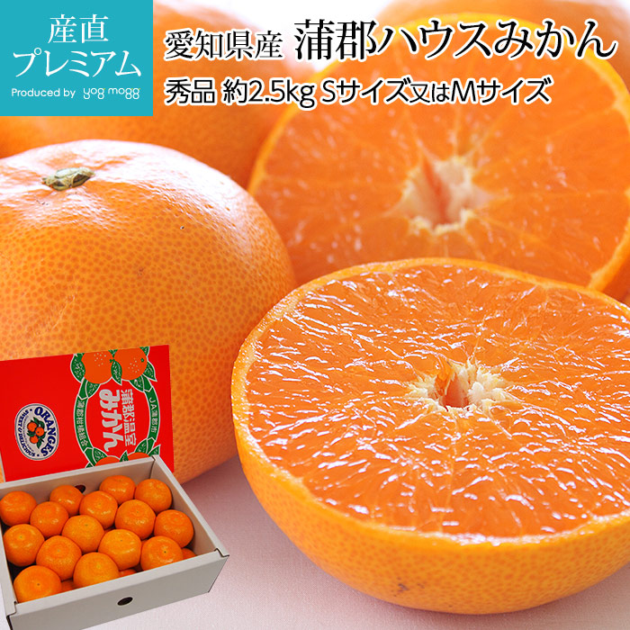 ߤ ϥߤ  2.5kg θ<br>ڥߥ ̪ ߤ  ե롼 ʪ £ ץ쥼 ˤ Ȣ 12ٰʾۡڻľץߥ