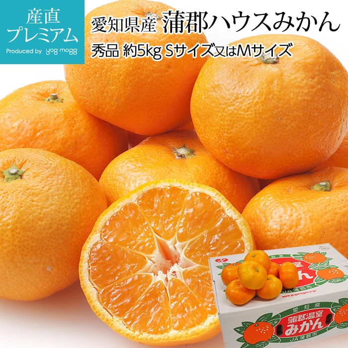 ߤ ϥߤ  5kg θ<br>ڥߥ ̪ ߤ  ե롼 ʪ £ ץ쥼 ˤ Ȣ 12ٰʾۡڻľץߥ