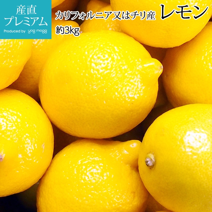 ���� ��3kg 30�� ����ե���˥��� ���껺<br>�ڥ��� ���� ݦݨ ��ʪ �ե롼�� ���ե� £�� �ץ쥼��ȡۡڻ�ľ�ץ�ߥ����