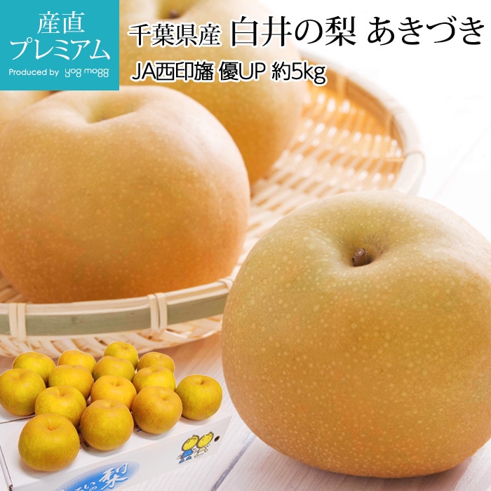 ʤ  Ť ͥå 5kg 914 ո ľ ʥ   ե롼 ʪ ե £ ץ쥼 ˤ лˤۡڻľץߥ