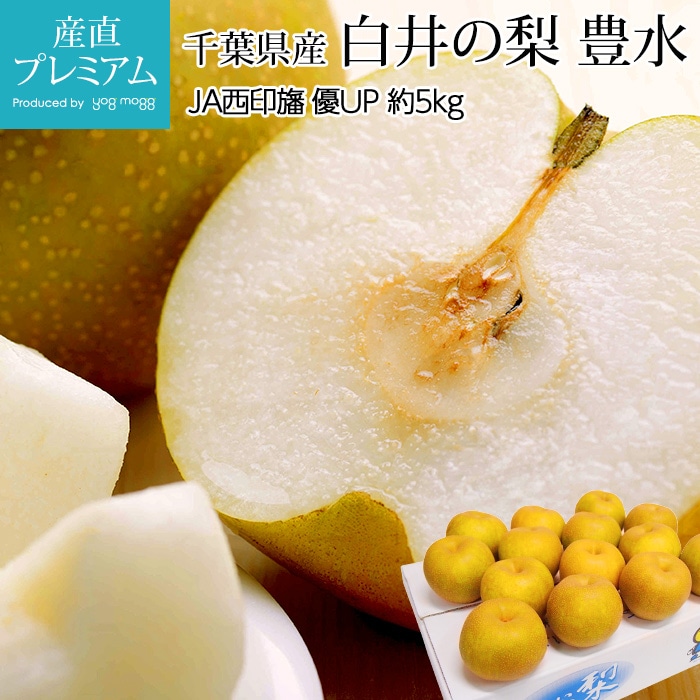 ʤ  ˭ ͥå 5kg 1014 ո ľ <br>˭  ʥ  ե롼 ʪ ե £ ץ쥼 ˤ лˤۡڻľץߥ