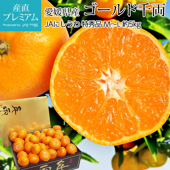 ߤ ξ δݤߤ ý 5kg ML 4050 ɲ ľ<br>ڤߤ ɲ ̪ ߥ   ե롼 ʪ ե £ ץ쥼 Ȣۡڻľץߥ