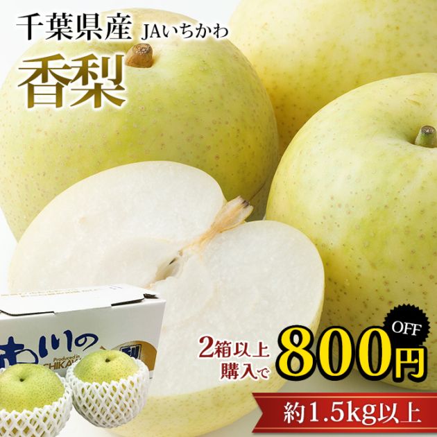 ��2Ȣ�ʾ头������800��OFF���� ���� ��1.5kg�ʾ� 2�� ���ո����ڤʤ� �ʥ� ��� ������ �ե롼�� ��ʪ ���ե� £�� �ץ쥼��� ��ˤ� �л��ˤ��ۡڻ�ľ�ץ�ߥ����