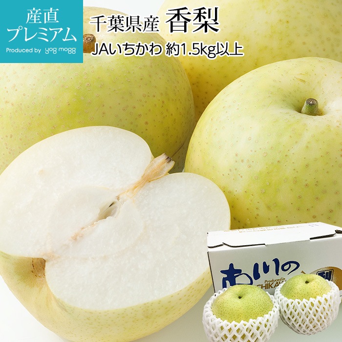 なし 香梨 2玉 約1.5kg以上 JAいちかわ 千葉県産 ナシ フルーツ 果物