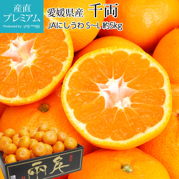ߤ ξ δݤߤ 5kg SL 4060 ɲ ľ<br>̪ ߥ   ե롼 ʪ ե £ ץ쥼 Ȣۡڻľץߥ
