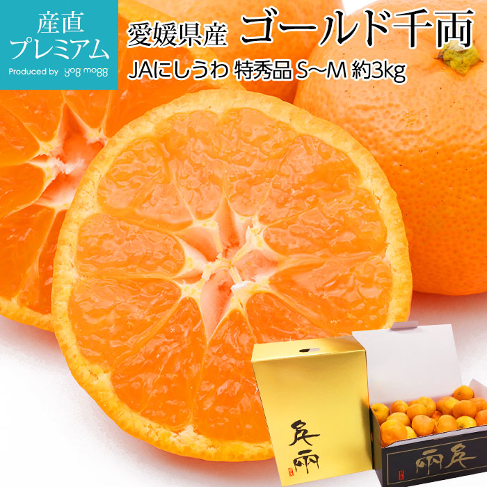 ߤ ξ δݤߤ ý 3kg SM 3036 ɲ ľ<br>̪ ߥ ߤ   ե롼 ʪ ե £ ץ쥼 Ȣۡڻľץߥ