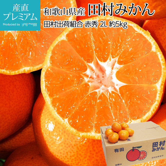 ߤ ¼ߤ ֽ 5kg 2L 35 ²λ ľ̪ ߥ ͭĤߤ  ե롼 ʪ ե £ ץ쥼 ˤ Ȣۡڻľץߥ