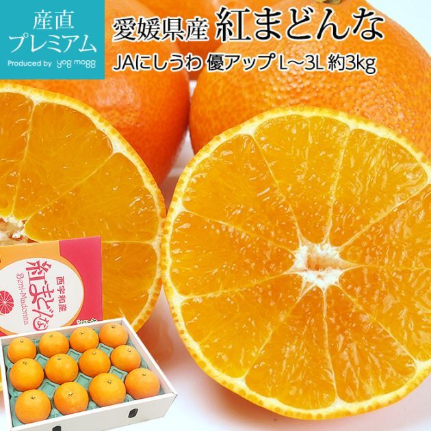 みかん　複数購入品 みかん 紅まどんな 優アップ 約3kg L～3Lサイズ 10～15玉 化粧箱 愛媛