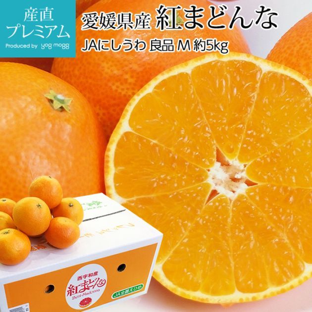 みかん 紅まどんな 良品 約5kg Mサイズ 24～30玉 愛媛県産 産地直送<br