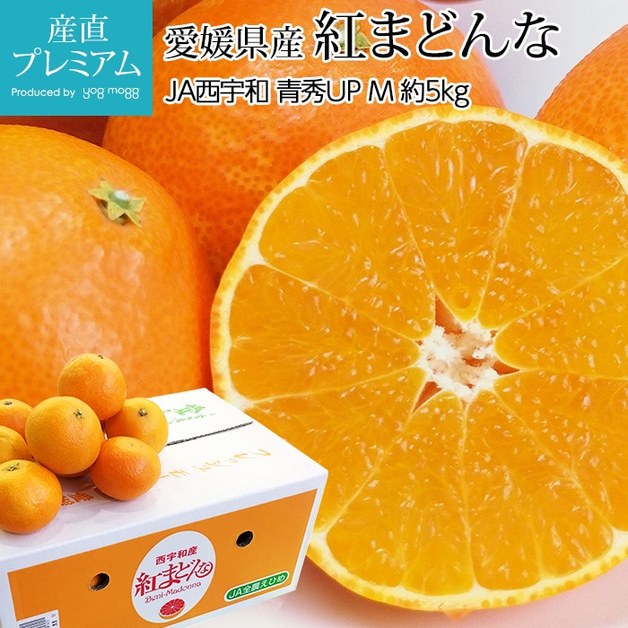 ߤ Ȥޤɤ Ľå 5kg M 2430 ɲ ľ<br>ڹȥޥɥ  ե롼 ʪ ե £ ץ쥼 ˤۡڻľץߥ