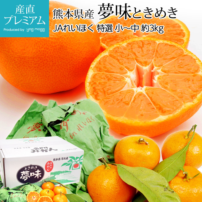 ゆめみ 高級みかん 越冬袋掛けみかん 夢味 特選 約3kg 小～中サイズ 約40～50