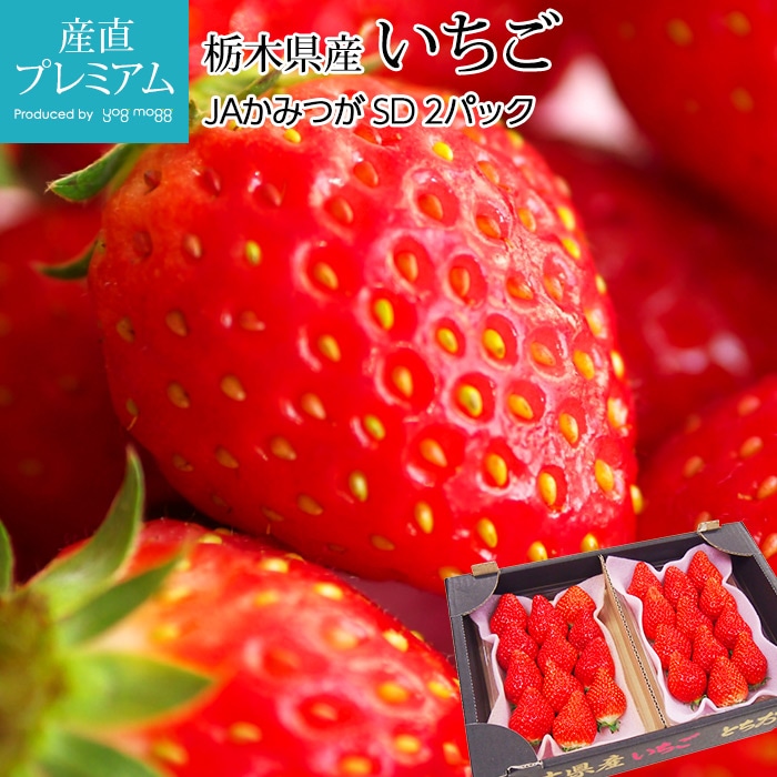  ȤȤ Ȥ SD 2ѥå ڸ<br>ʲ ȥȥ ȥ   ȥ٥꡼  ե롼 ʪ ե £ ץ쥼 ˤۡڻľץߥ