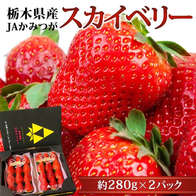 ������ �������٥꡼ G 2�ѥå� ���ڸ���<br>�ڥ����� �� ���ȥ��٥꡼ ������ �ե롼�� ��ʪ ���ե� £�� �ץ쥼��� ��ˤ��ۡڻ�ľ�ץ�ߥ����