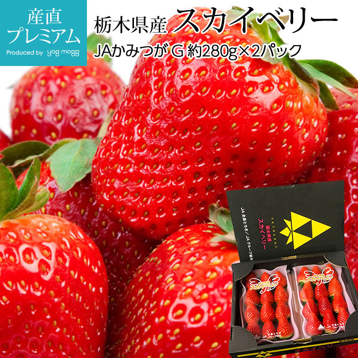  ٥꡼ G 2ѥå ڸ<br>ڥ  ȥ٥꡼  ե롼 ʪ ե £ ץ쥼 ˤۡڻľץߥ