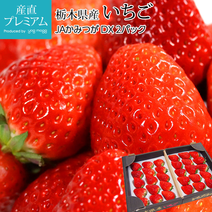  ȤȤ Ȥ DX 2ѥå ڸ<br>ʲ ȥȥ ȥ   ȥ٥꡼  ե롼 ʪ ե £ ץ쥼 ˤۡڻľץߥ