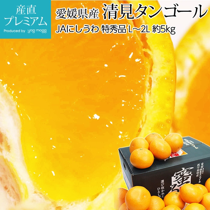 ̪������ �������󥴡��� �ý��� ��5kg L��2L������ 18��25�� ��ɲ���� ����ľ���ڤߤ��� �ߥ��� ̪�� ̪�� ���� ���󥴡��� ������ �ե롼�� ��ʪ ���ե� £�� �ץ쥼��ȡۡڻ�ľ�ץ�ߥ����