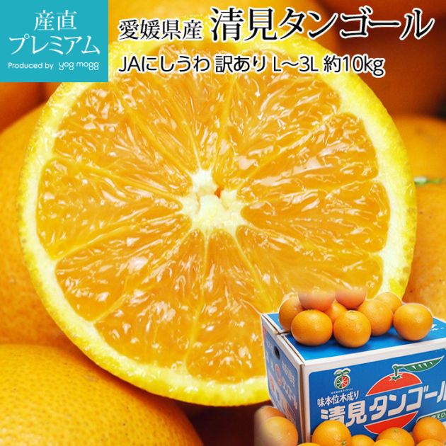 �������󥴡��� ������ ��10kg L��3L������ 32��50�� ��ɲ���� ����ľ��<br>�ڤߤ��� �ߥ��� ̪�� ���� ���󥴡��� ������ �ե롼�� ��ʪ ���ե� ������ �ץ쥼��� ��ˤ� Ȣ�������ۡڻ�ľ�ץ�ߥ����