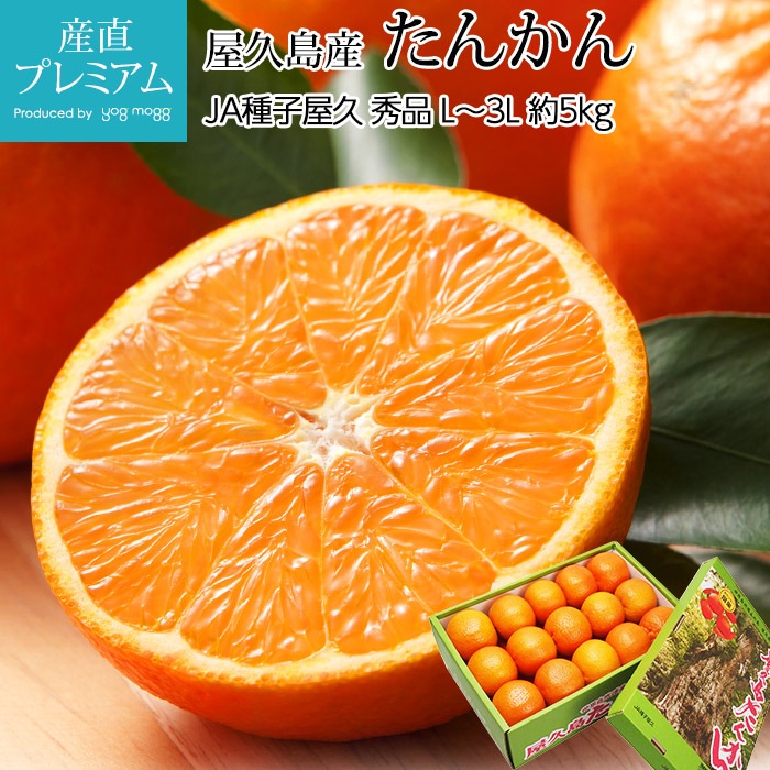 �ߤ��� ���󤫤� ���� ��5kg L��3L������ �����绺<br>�ڥ��󥫥� �ߥ��� ̪�� ���� ������ �ե롼�� ��ʪ ���ե� £�� �ץ쥼��� Ȣ�������ۡڻ�ľ�ץ�ߥ����