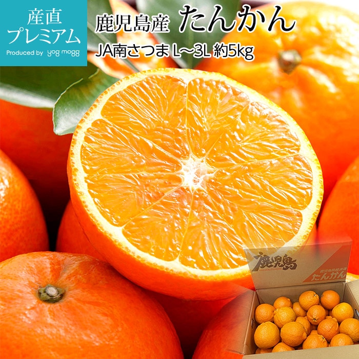 �ߤ��� ���󤫤� ��5kg L��3L������ �����縩��<br>�ڥ��󥫥� �ߥ��� ̪�� ���� ������ �ե롼�� ��ʪ ���ե� £�� �ץ쥼��� Ȣ�������ۡڻ�ľ�ץ�ߥ����