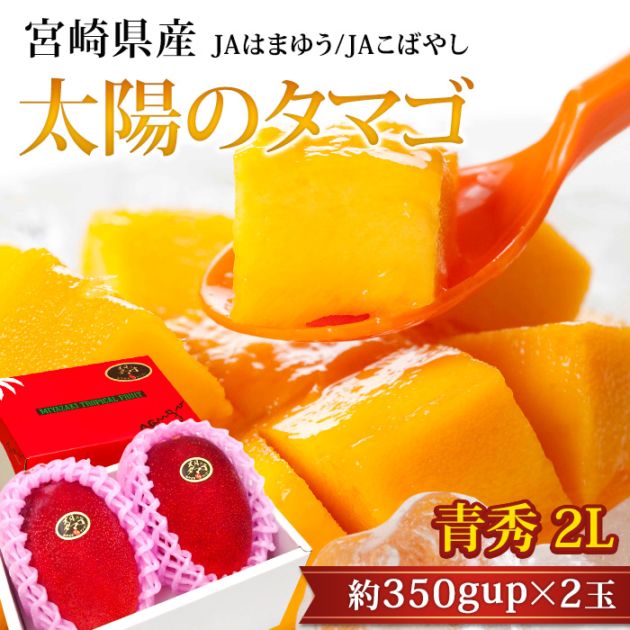 宮崎県産ブルーマンゴー【10kg】大玉多め‼︎150-290g含む 宮崎マンゴー 太陽のタマゴ 青秀 2Lサイズ 2玉 宮崎県産 産地直送<br