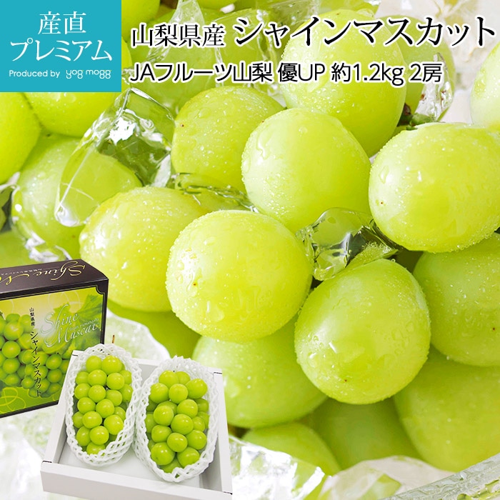 ֤ɤ 㥤ޥå ͥå 1.2kg 2˼  ϪϺ ľڥ֥ɥ ƺ ޥå  ե롼 ʪ ե £ ץ쥼 ˤ лˤۡڻľץߥ
