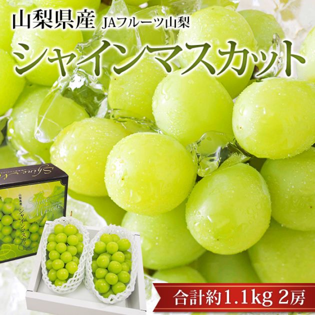 �֤ɤ� ���㥤��ޥ����å� ��1.1kg 2˼ �������� Ϫ�Ϻ��� ����ľ���ڥ֥ɥ� ��ƺ �ޥ����å� ������ �ե롼�� ��ʪ ���ե� £�� �ץ쥼��� ��ˤ� �л��ˤ��ۡڻ�ľ�ץ�ߥ����